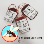 avis-verona-west-nile-virus-2023