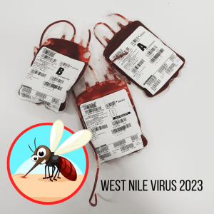 avis-verona-west-nile-virus-2023